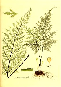 n176_w1150