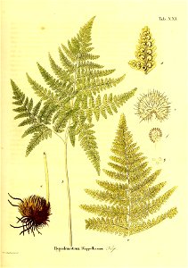 n122_w1150