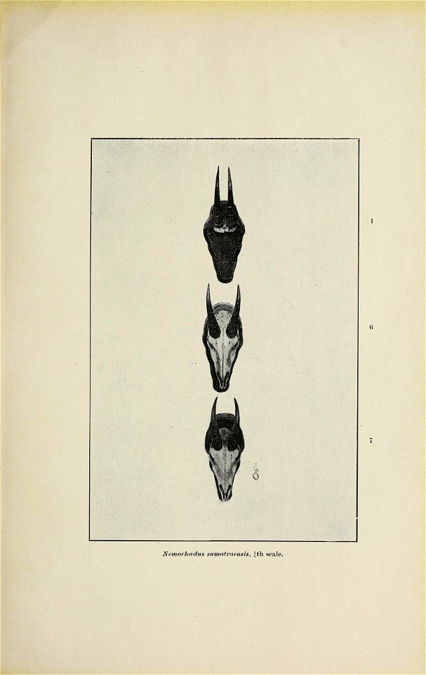 n46_w1150