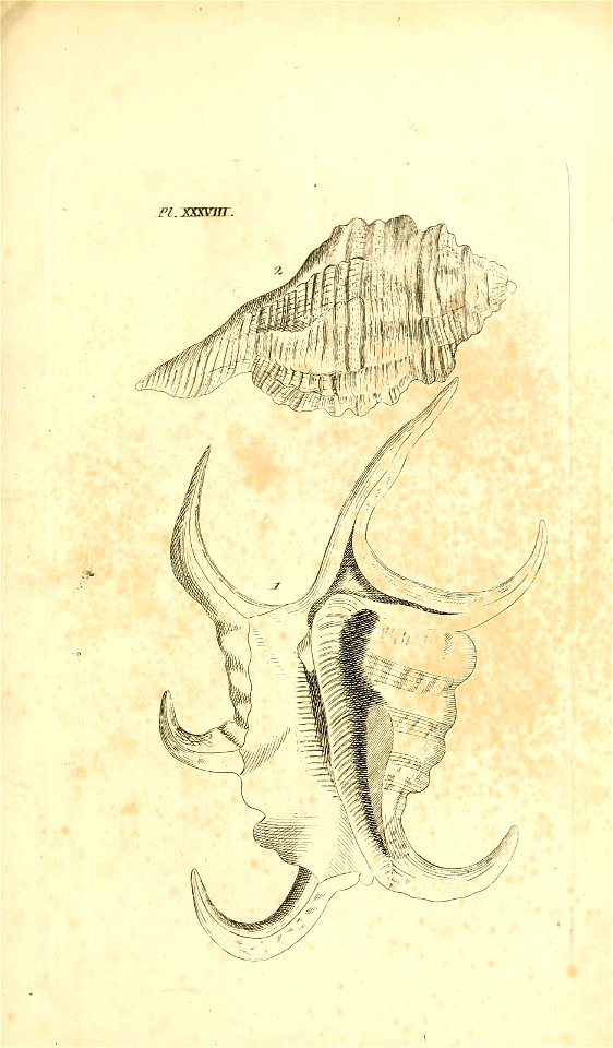 n84_w1150