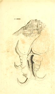 n84_w1150