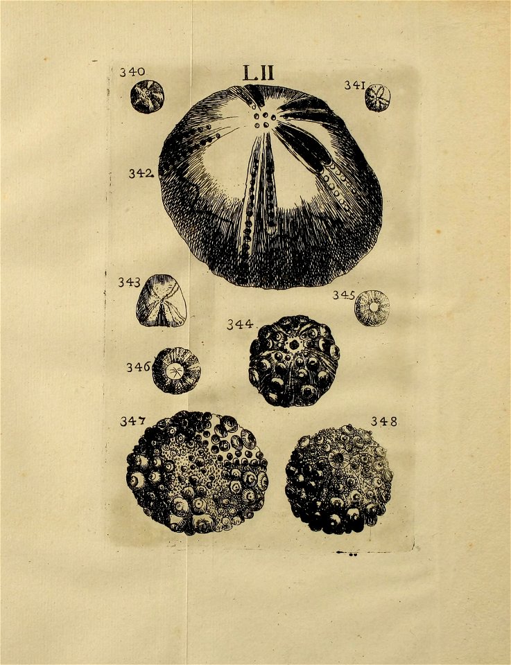 n478_w1150