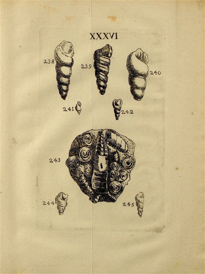 n414_w1150