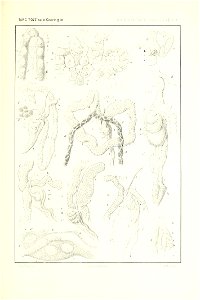 n148_w1150