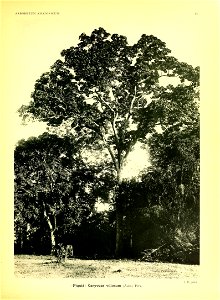n20_w1150