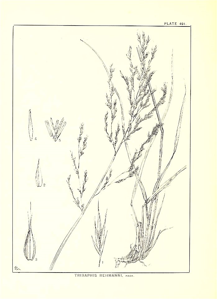 n301_w1150