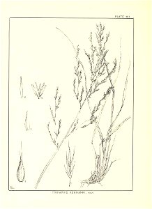 n301_w1150