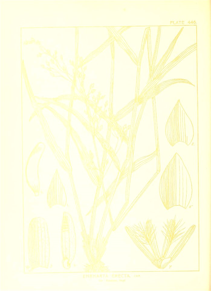 n155_w1150