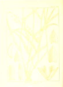 n155_w1150