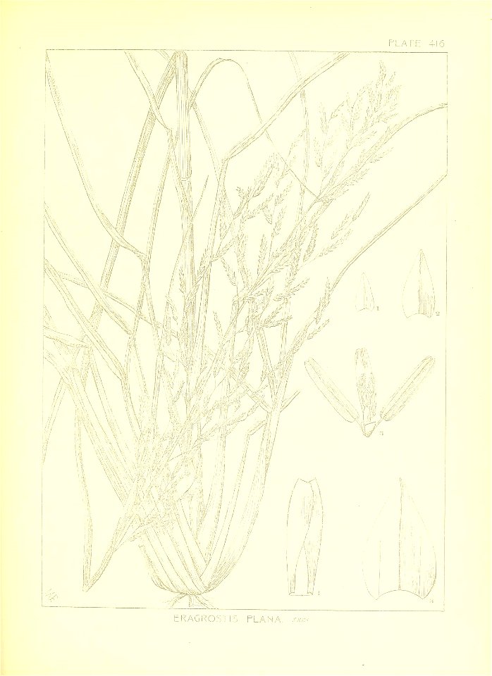 n60_w1150