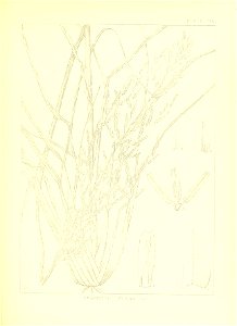 n60_w1150