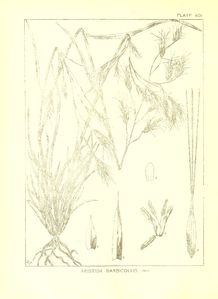 n15_w1150