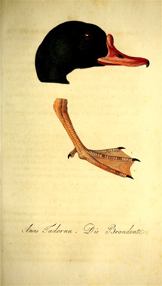 n690_w1150