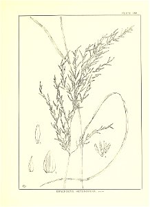 n298_w1150