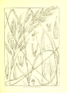 n202_w1150
