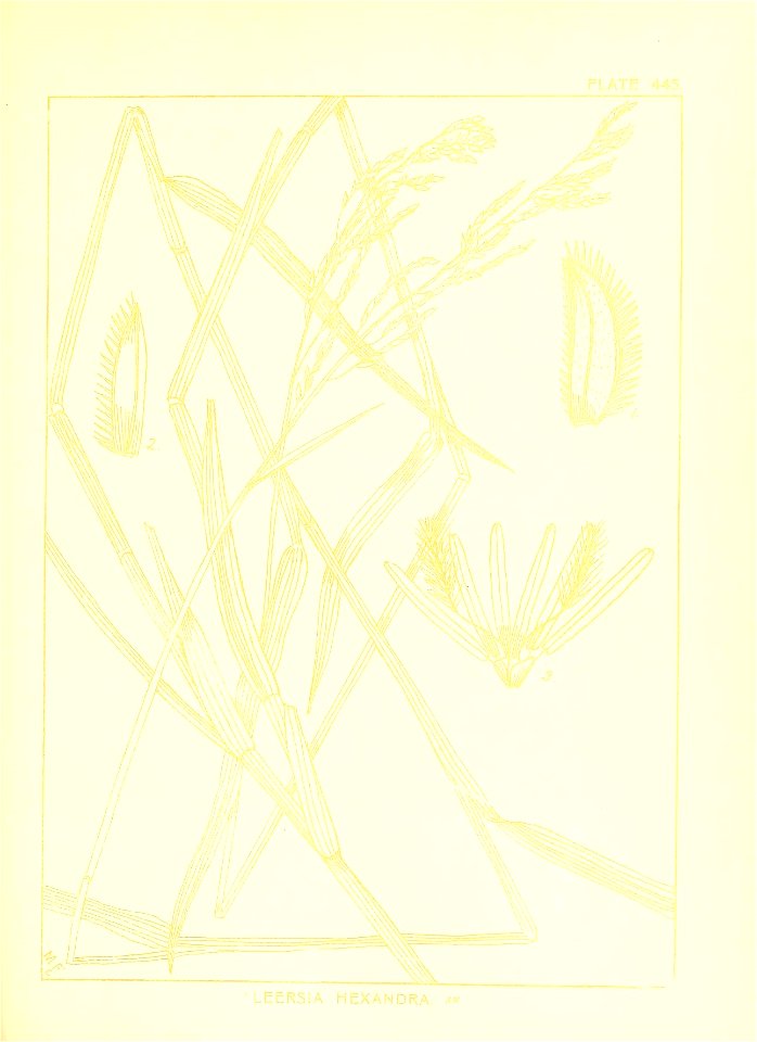 n152_w1150