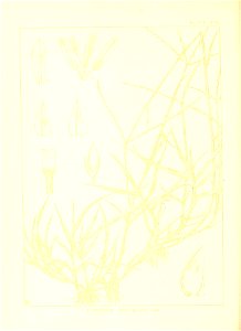 n107_w1150