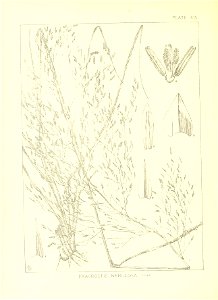 n57_w1150