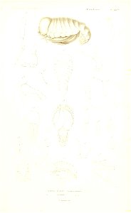 n280_w1150