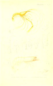 n220_w1150