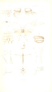 n44_w1150