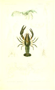 n216_w1150
