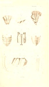 n40_w1150