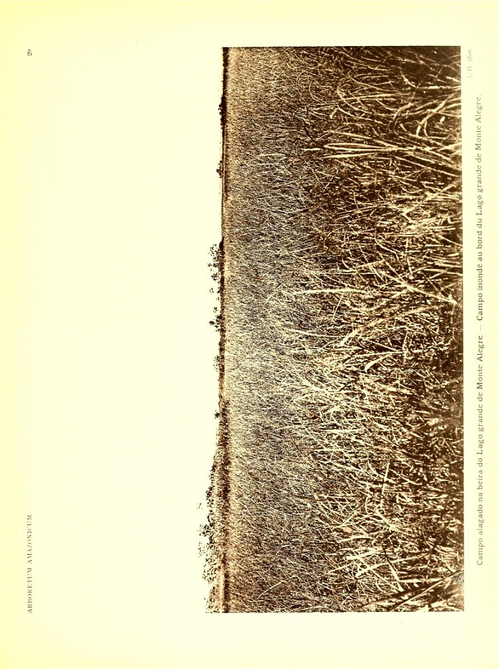 n44_w1150