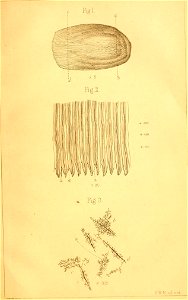 n46_w1150