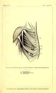 n112_w1150