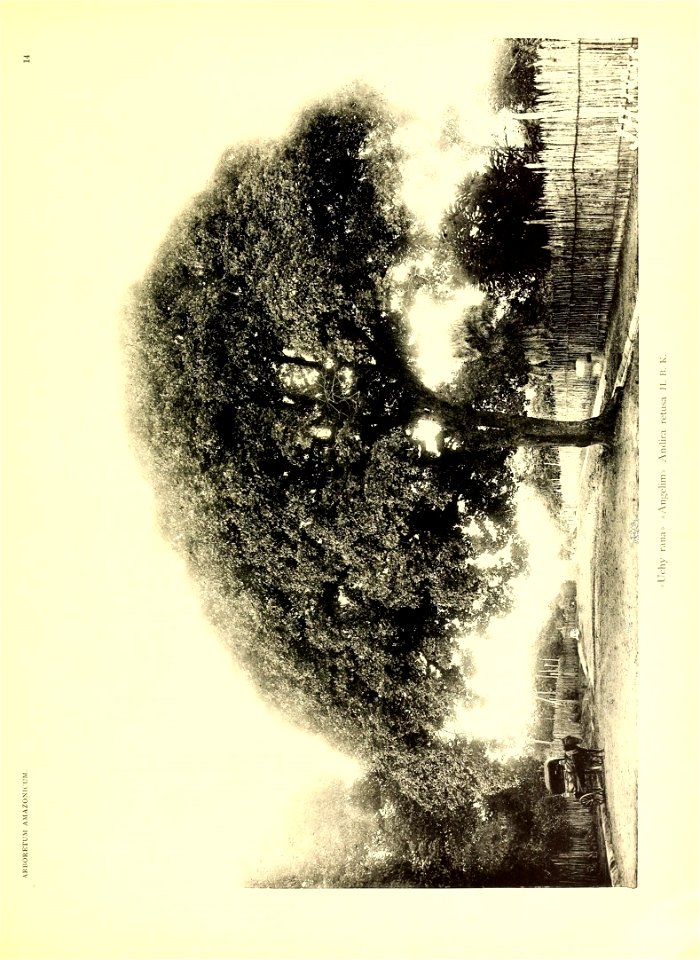 n16_w1150
