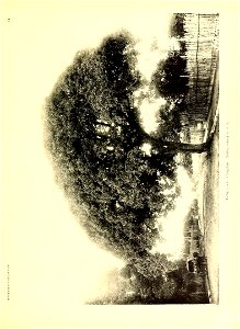 n16_w1150