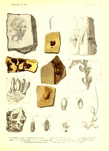 n472_w1150