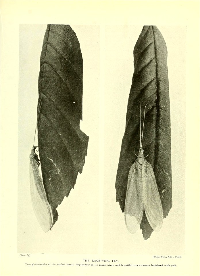 n814_w1150