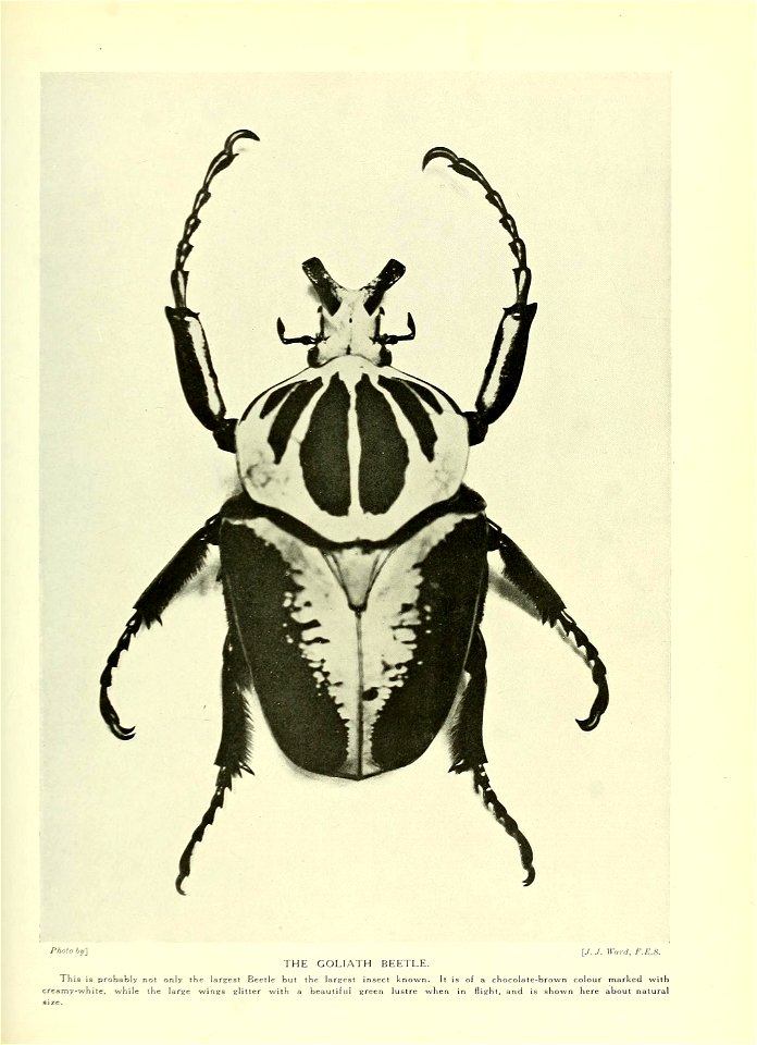 n696_w1150