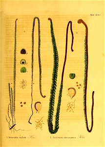n362_w1150