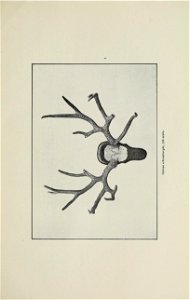 n94_w1150
