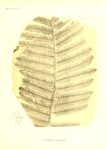 n362_w1150