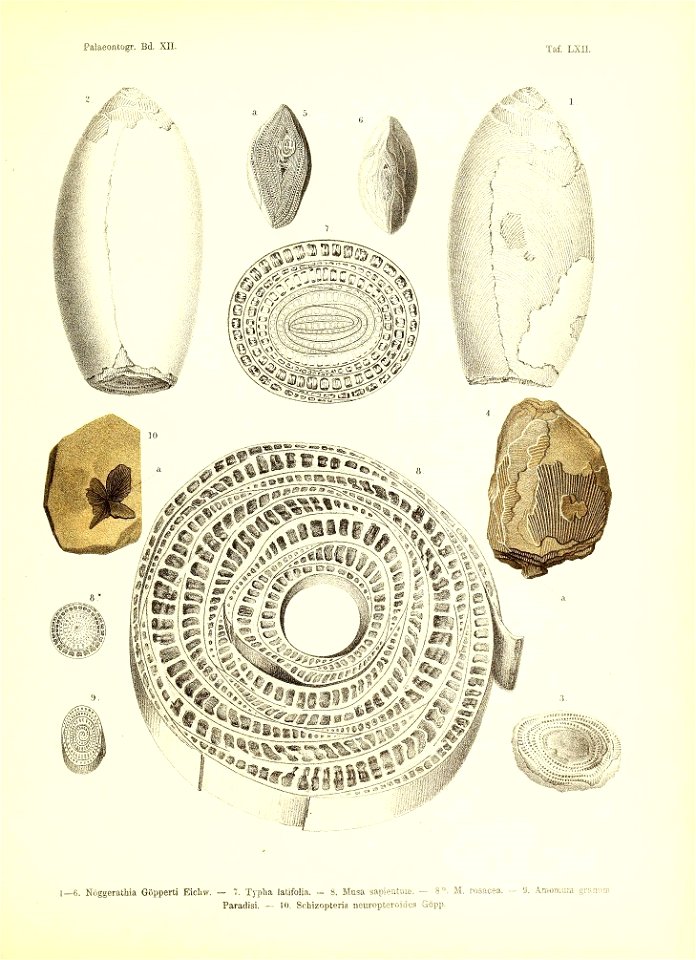 n468_w1150