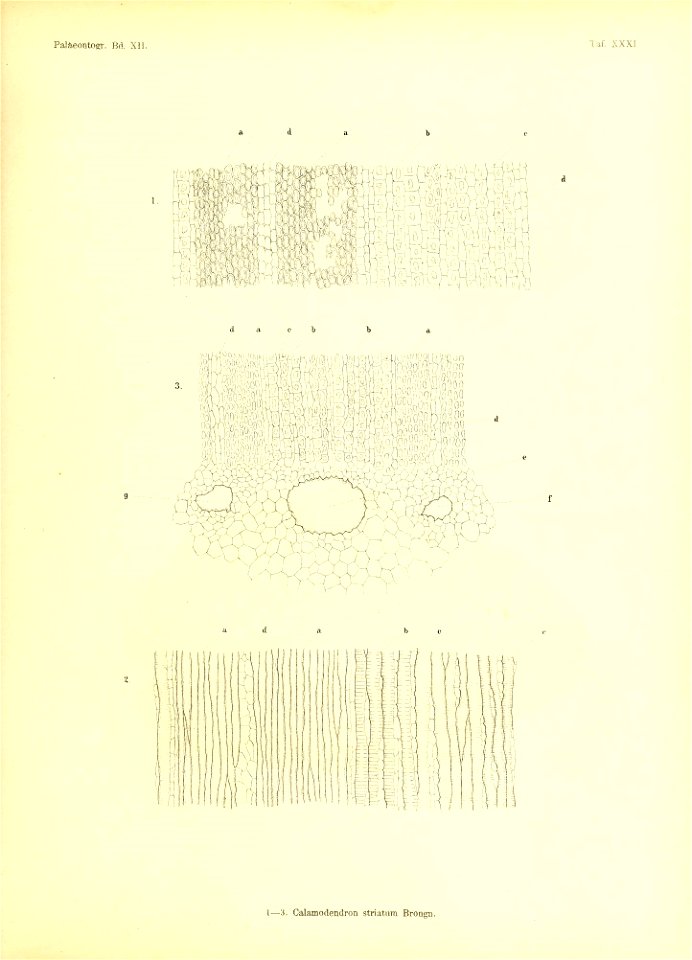 n398_w1150