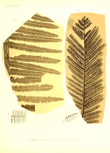 n360_w1150