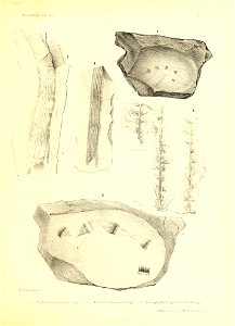 n326_w1150