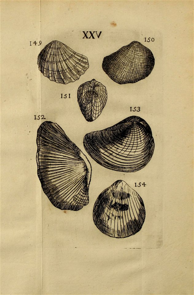 n372_w1150