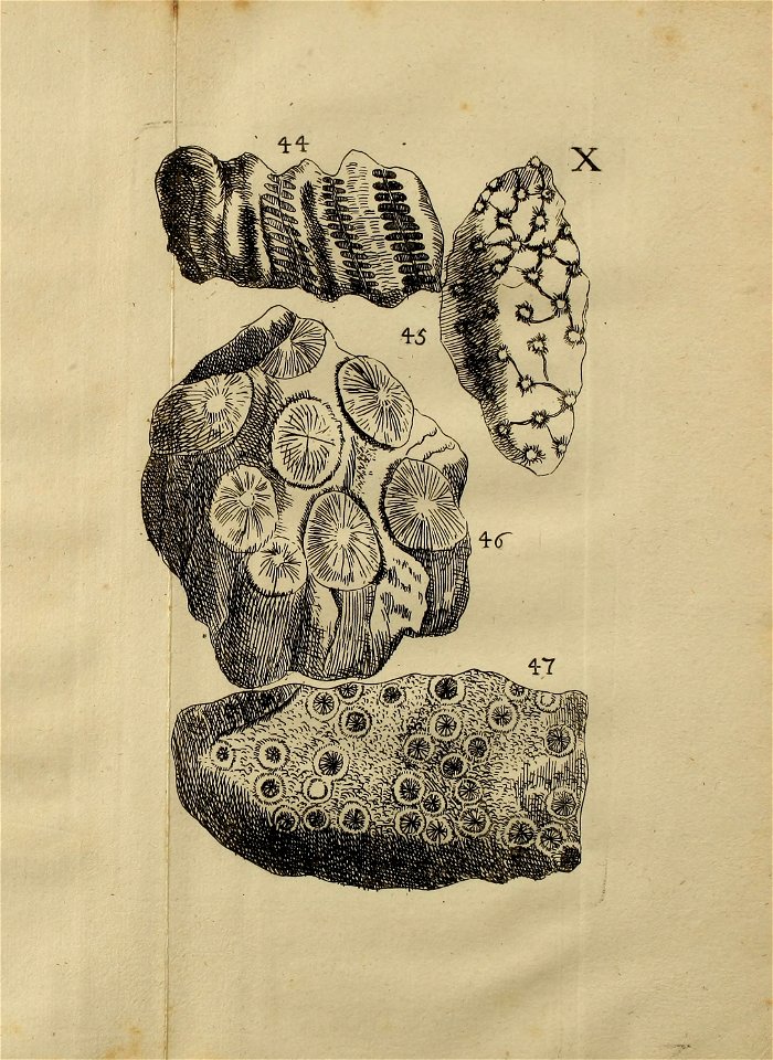 n316_w1150