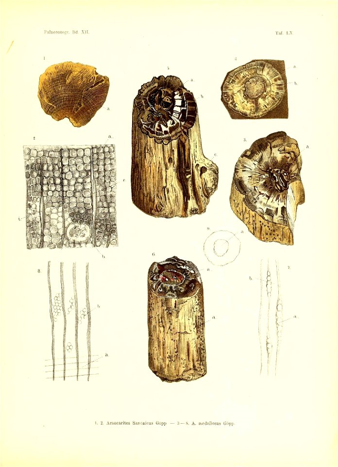 n464_w1150