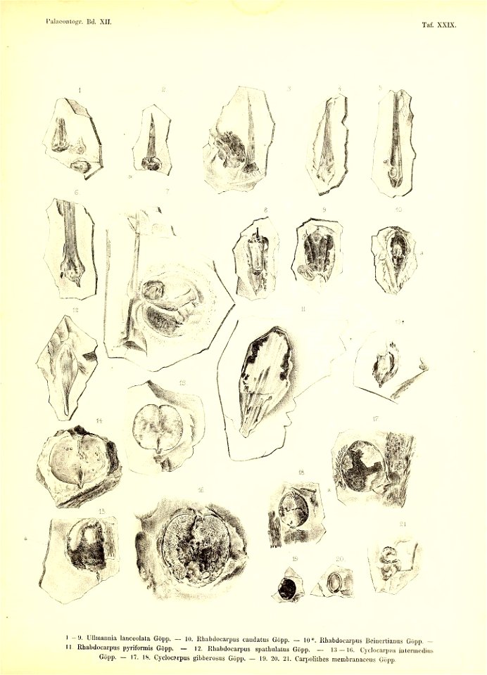 n394_w1150