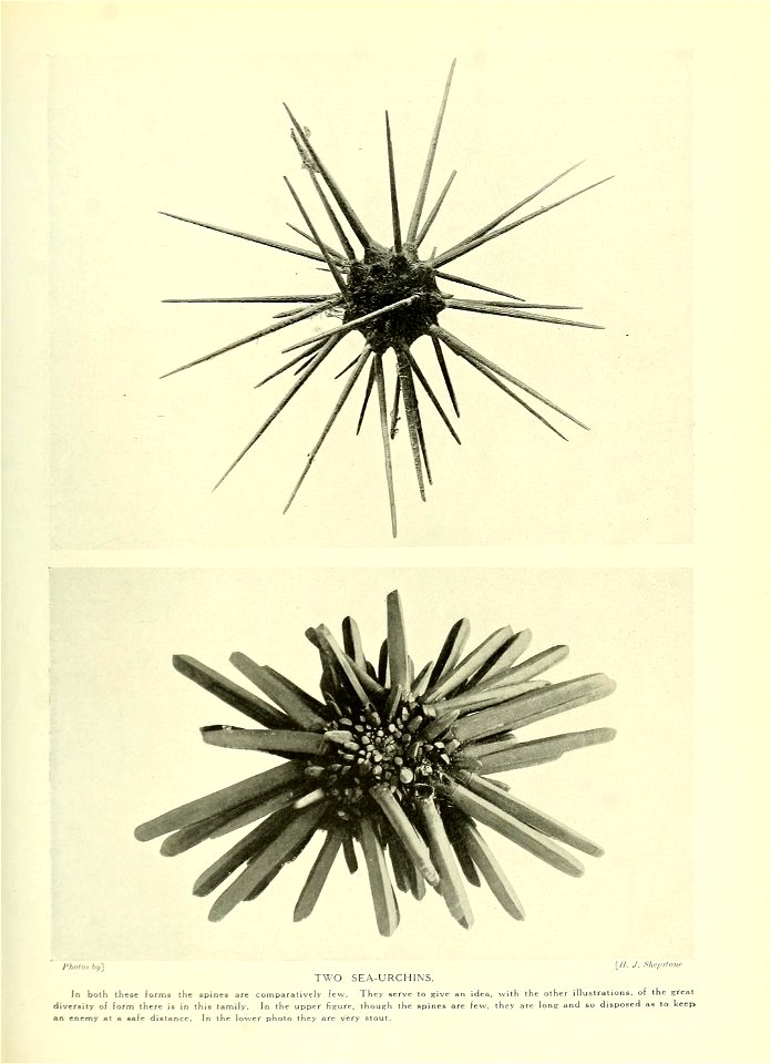 n678_w1150