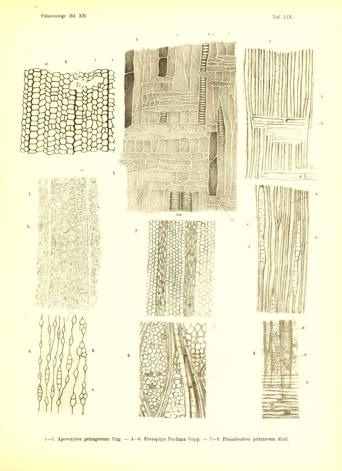 n462_w1150