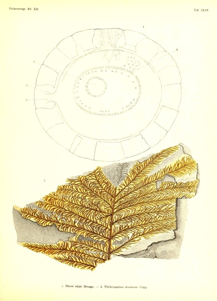 n432_w1150