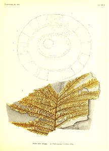 n432_w1150
